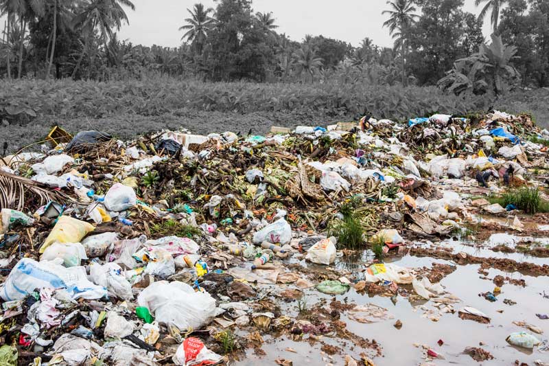 Solid waste piled up in fallow marshes within Kuttanad Wetlands in Alappuzha district, Kerala